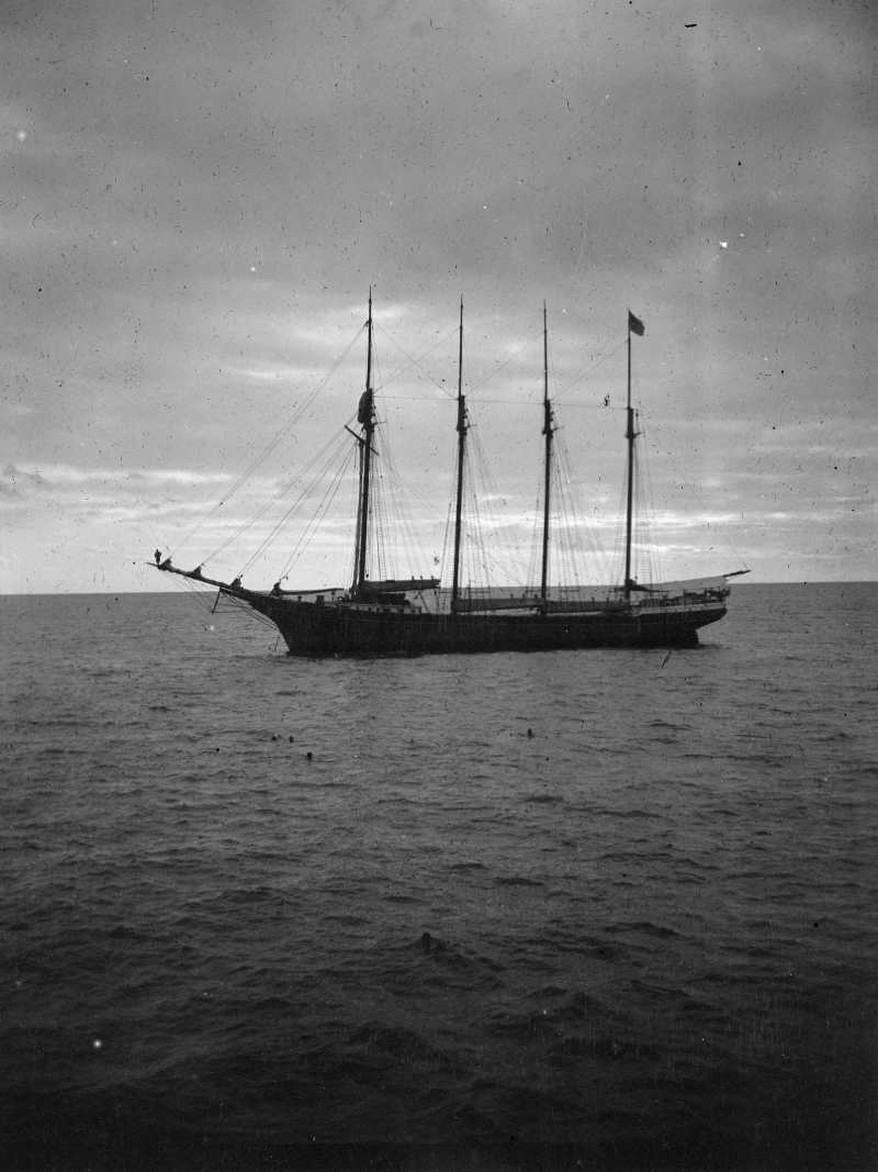 Croissance libérée